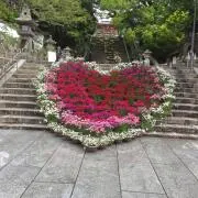 らぁちゃん