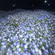 harutoの画像