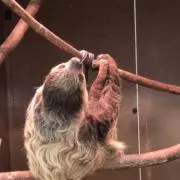 Meiプロフ確認して下さいの画像