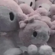 ぽの画像