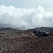 tomarketの画像
