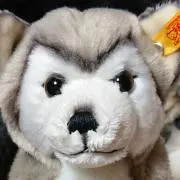 犬尻ソムリエの画像