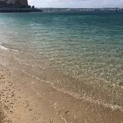 ゆみんば
