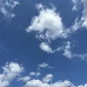 にこの画像