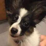 ふー    (プロフ見て下さい。)