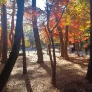 ユフィの画像