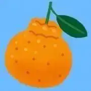 デコポンの画像