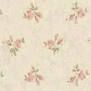 Ｒ♡.°⑅の画像