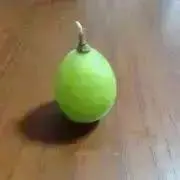 rinの画像