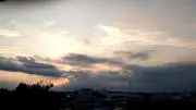 ハーベストの画像