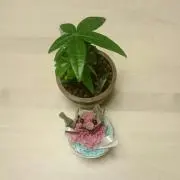 ゆきだるまの画像