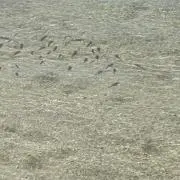 蔵の画像
