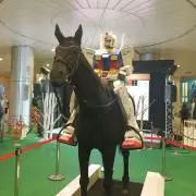 たくろーの画像