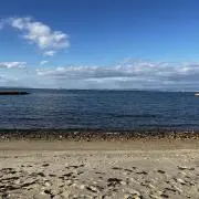 みぃ【匿名配送】の画像