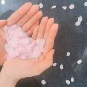 白苺の画像