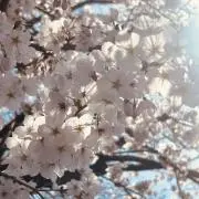 miii✩の画像