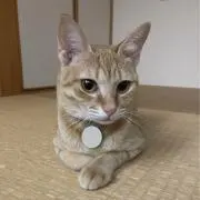 とし伝説