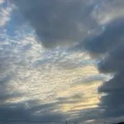naの画像