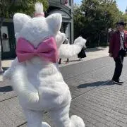 りゅの画像