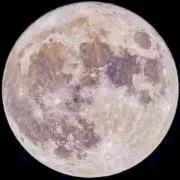 夜半の画像