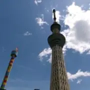 マルコの画像