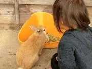 いけの画像