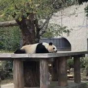 1207の画像