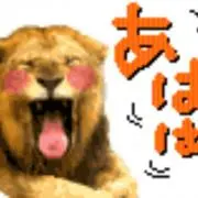まぁの画像