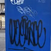 スッポンの画像