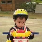 재の画像