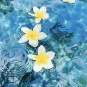 Maru◎の画像