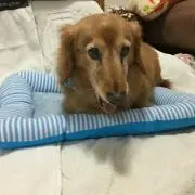 けんじ
