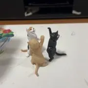 kuの画像