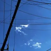 ふにの画像
