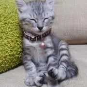 なちゃーん❁の画像