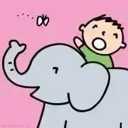 ROAの画像