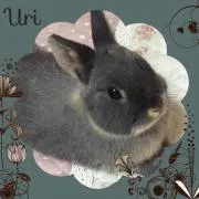 ♥.+.:*♡へちま♡*:.+.♥