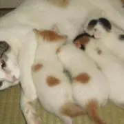KMワールドの画像