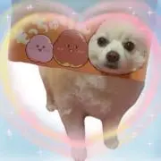 ☆niko☺︎☆