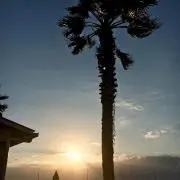 めぃの画像