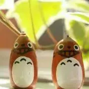 TOTOROの画像