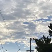 ホワイトの画像