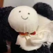 OP Studioの画像