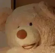 お芋の画像