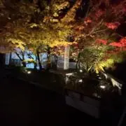 ま  プロフ読んでくださいの画像
