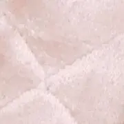 ねぎの画像