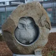 ゆきどりの画像