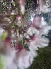 mの画像