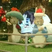 しいさんの画像