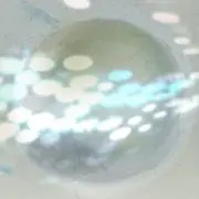 ⟡.·